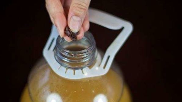 квас из ржаного хлеба