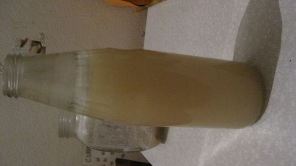 квас хлебный