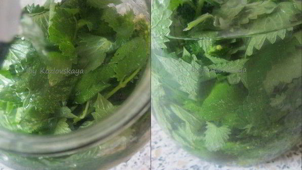 мятный ликер