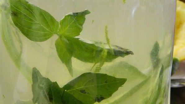 лимонад с базиликом и душистым перцем