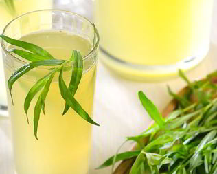 Лимонад с тархуном