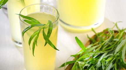 Лимонад с тархуном