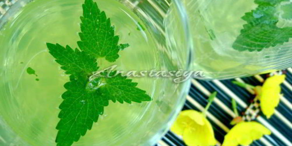Рецепт охлаждающего напитка с мятой и лимоном