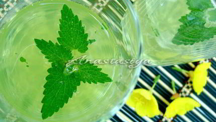 Охлаждающий напиток с мятой и лимоном