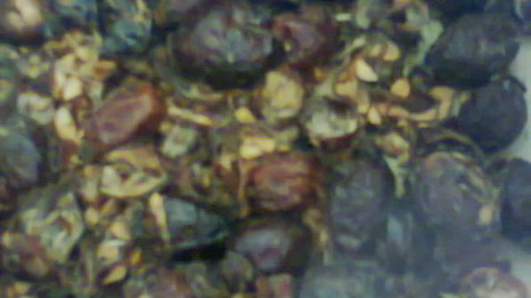 прохладительный напиток из шиповника