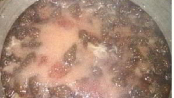 сироп из сосновых шишек