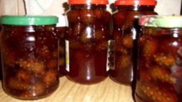 сироп из сосновых шишек