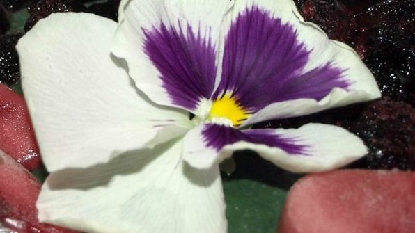 фруктовый смузи-боул со спирулиной