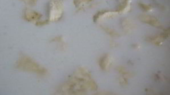 смузи на завтрак