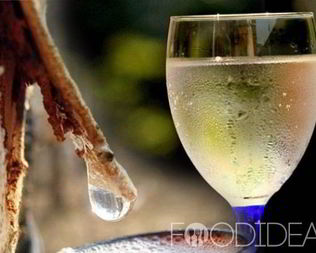 Вино из березового сока