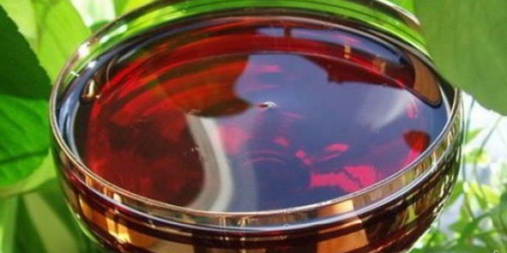 Рецепт вина из красной рябины