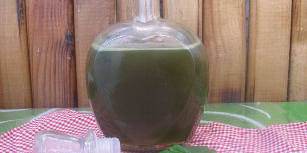 Рецепт зеленого мятного сиропа