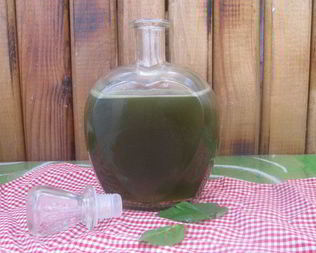 Зеленый мятный сироп