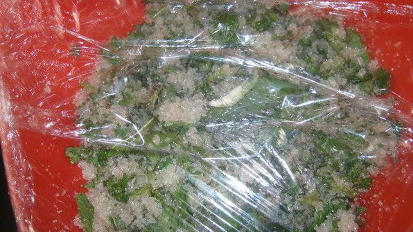 зеленый мятный сироп