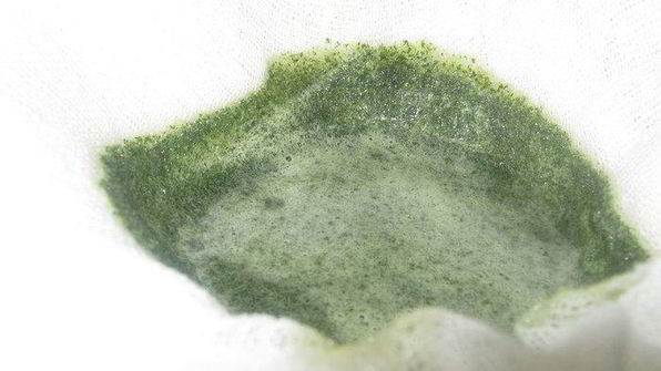 зеленый мятный сироп