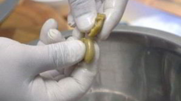 салат греческий с мясом