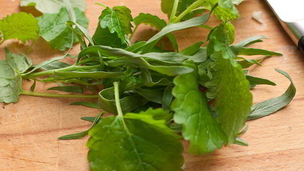 картофельный салат с брокколи, мелиссой и тархуном