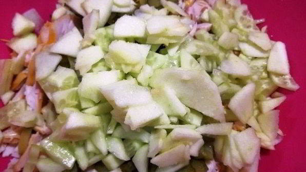 оливье 1860 года