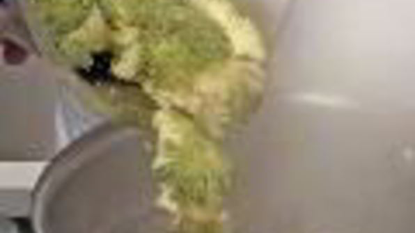 салат из морепродуктов с овощами