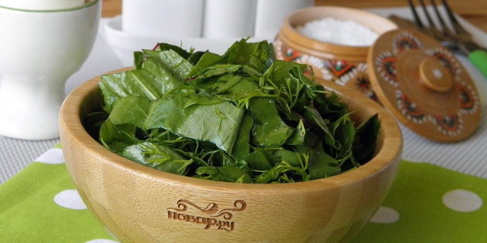 Рецепт салата из щавеля