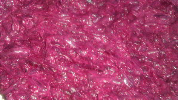 селедочка под шубой