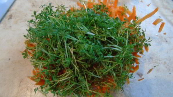 салат с кресс-салатом