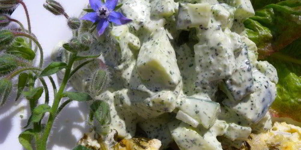 Рецепт йогуртового соуса с бараго к салату