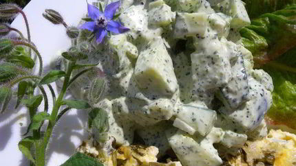 Йогуртовый соус с бараго к салату