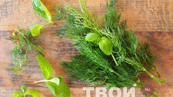 соус дзадзики