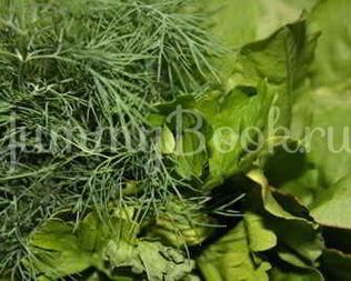 Борщ летний щавелевый