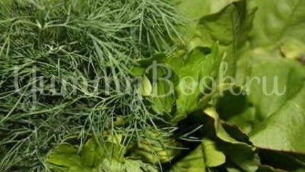 Борщ летний щавелевый