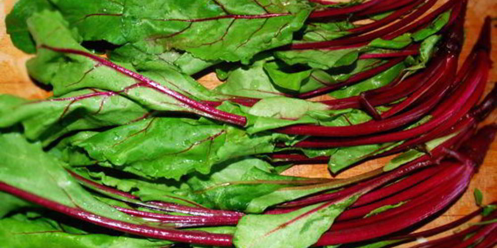 Рецепт ботвиньи — борща из листьев молодой свеклы