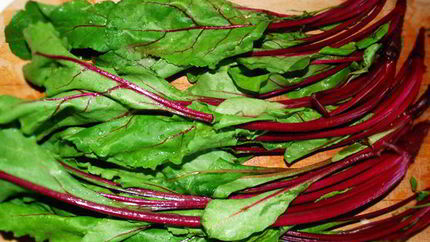 Ботвинья — борщ из листьев молодой свеклы