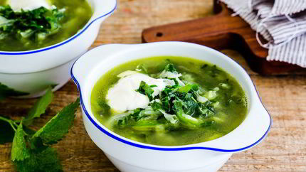 Зеленый борщ с крапивой