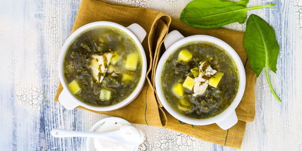 Рецепт зеленого борща с щавелем