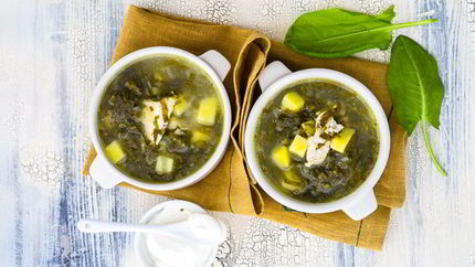 Зеленый борщ с щавелем