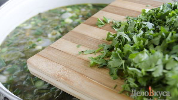 зеленый борщ со щавелем и крапивой