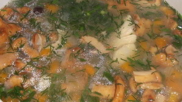 лисички с курицей в бульоне