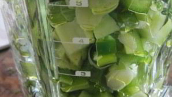 зеленый гаспачо для сыроедов