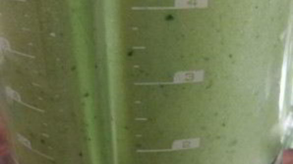 зеленый гаспачо для сыроедов