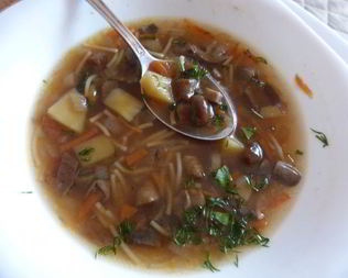 Грибной суп из трех видов грибов