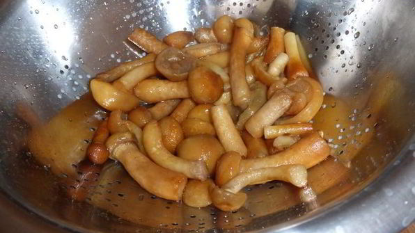 грибной суп из трех видов грибов