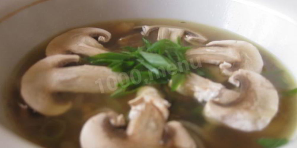 Рецепт грибного супа с курицей из шампиньонов
