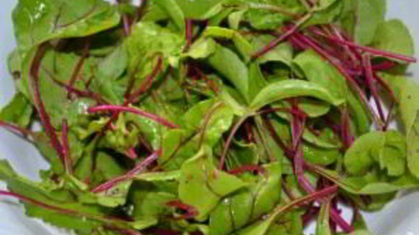 холодник с ботвой