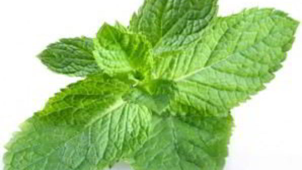 холодный итальянский суп