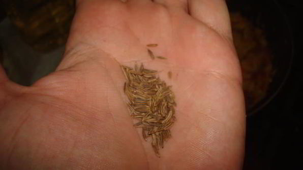 кислые деревенские щи