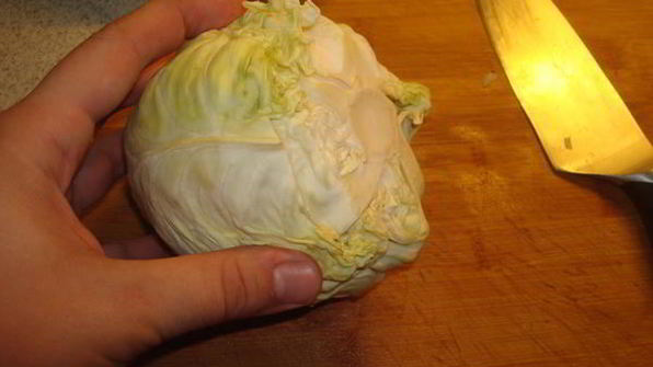 кислые деревенские щи