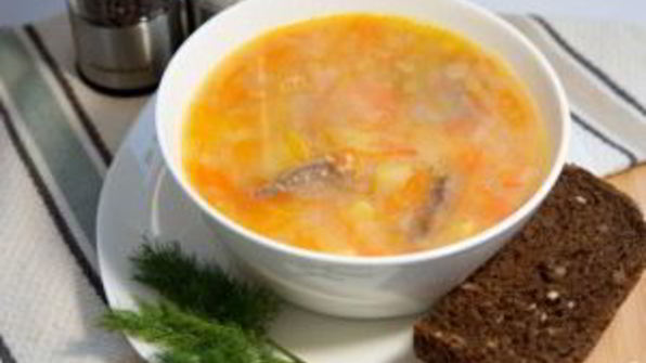 щи из индейки