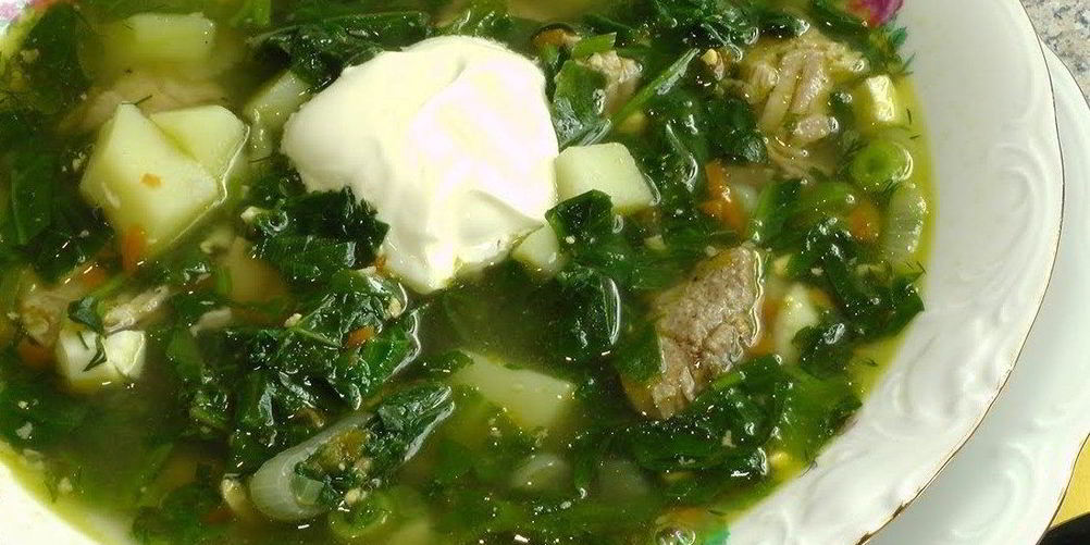 Рецепт щей из щавеля с мясом