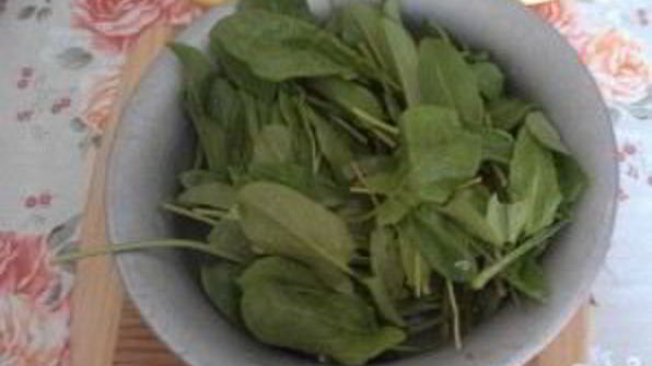 щи из щавеля с мясом